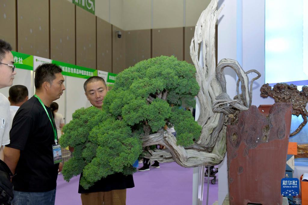 ag手机客户